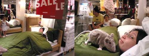 suanie sleeping at IKEA