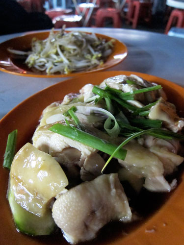 steamed chicken and bean sprouts