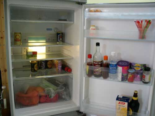 nothing left in the fridge