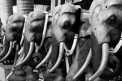 line up - elephant statues at Bangkok