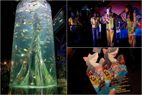 Aquaria KLCC Shark in the City Cage Rage launch