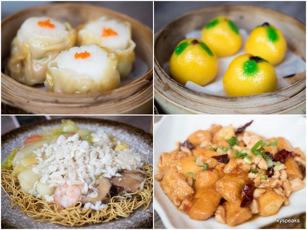 scallop dumpling, golden kamquat dumpling, lucky 88 noodle, szechuan tofu