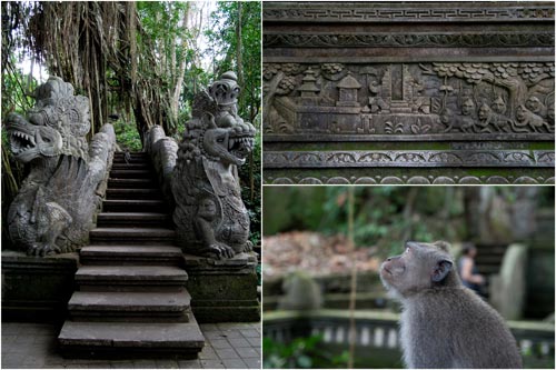 monkey forest at Ubud, the prime tourist attraction