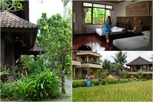 Sri Bungalows with lush green padi field at the back