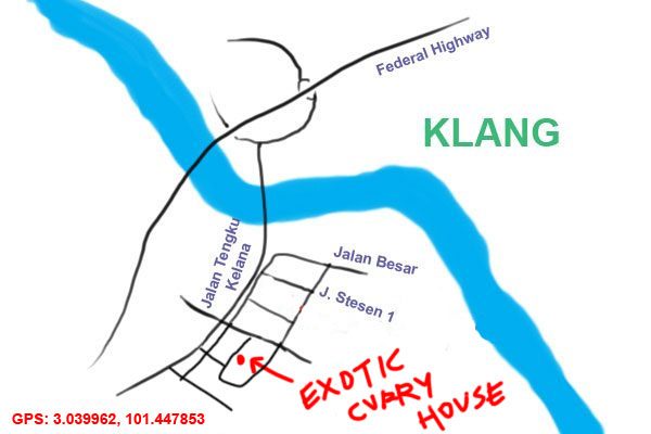 map to Exotic Curry House, Klang
