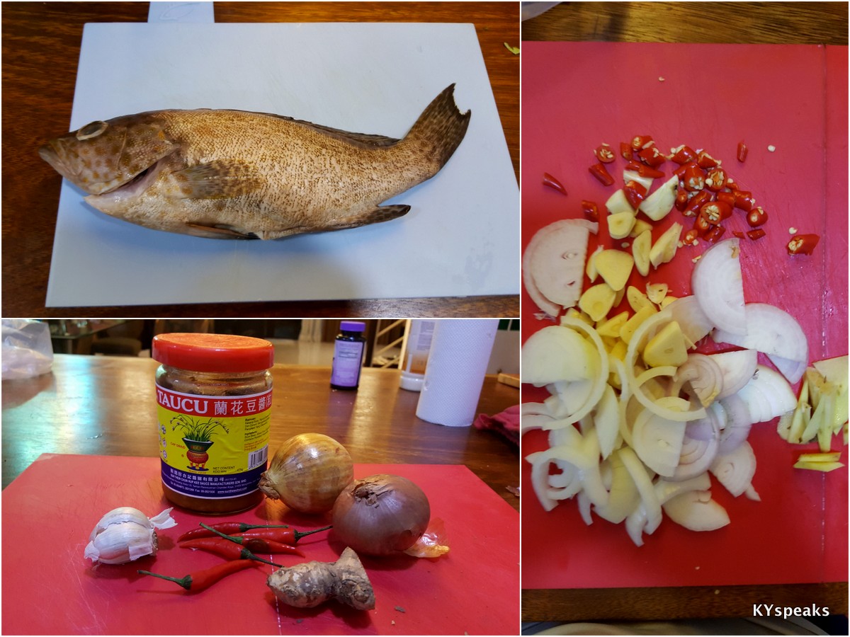 raw ingredients - fish, tauchu, onion, garlic, ginger, chili padi