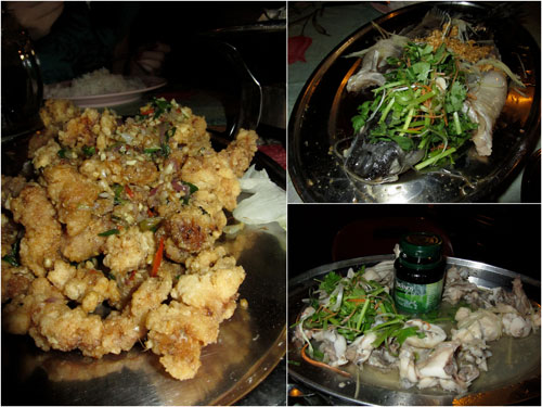 mantis prawn, steamed pak sou kong, steamed frog