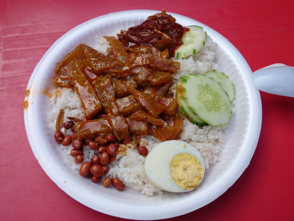 nasi lemak with curry pork skin, what more can you I ask for?