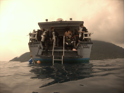 Pulau Aur Diving