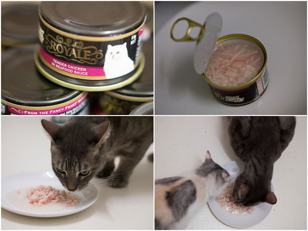 Fancy Feast Royale wet cat food gets nom-ed down pretty fast as well