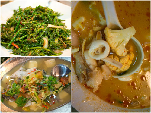 paku, Thai steamed siakap, seafood tomyam