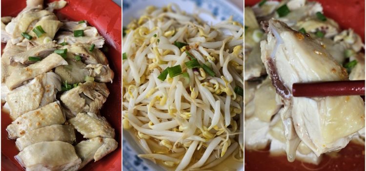 steamed chicken and bean sprouts