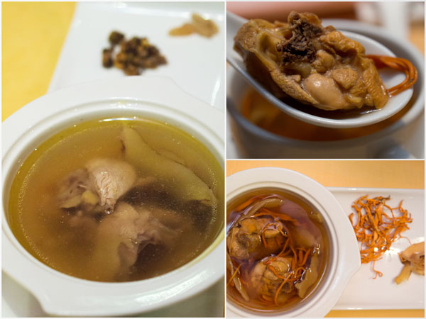 double boiled chicken with "shi hu" or "chong cao hua" soup